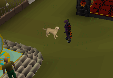 A labrador out with its owner at home