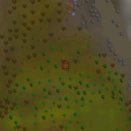The world map around Black unicorn Foal