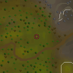 The world map around Bunny