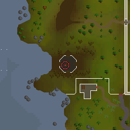 The world map around Dark wizard