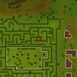The world map around Spider